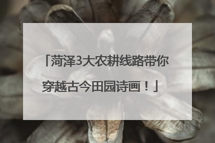 菏泽3大农耕线路带你穿越古今田园诗画！