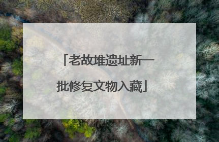 老故堆遗址新一批修复文物入藏