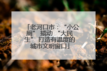 老河口市：“小公厕” 撬动 “大民生” 打造有温度的城市文明窗口