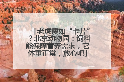 老虎瘦如“卡片”？北京动物园：饲料能保障营养需求，它体重正常，放心吧