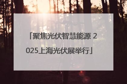 聚焦光伏智慧能源 2025上海光伏展举行