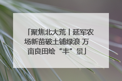 聚焦北大荒丨延军农场新苗破土铺绿浪 万亩良田绘“丰”景