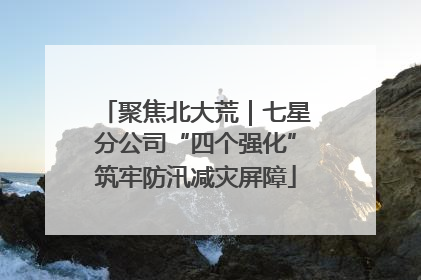 聚焦北大荒｜七星分公司“四个强化”筑牢防汛减灾屏障