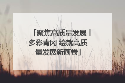 聚焦高质量发展丨多彩青冈 绘就高质量发展新画卷