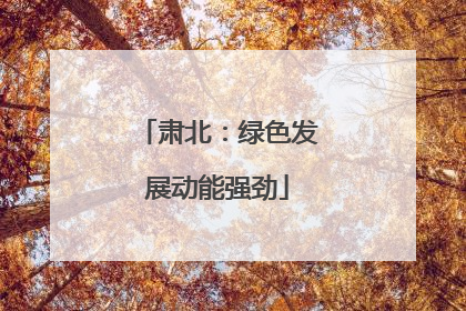 肃北：绿色发展动能强劲