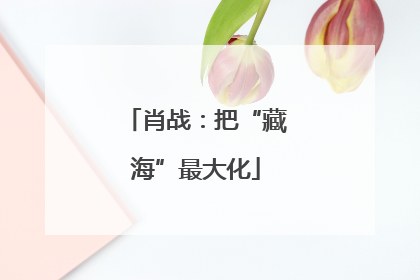 肖战：把“藏海”最大化