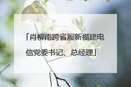 肖柳南跨省履新福建电信党委书记、总经理