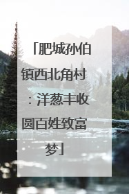 肥城孙伯镇西北角村：洋葱丰收圆百姓致富梦