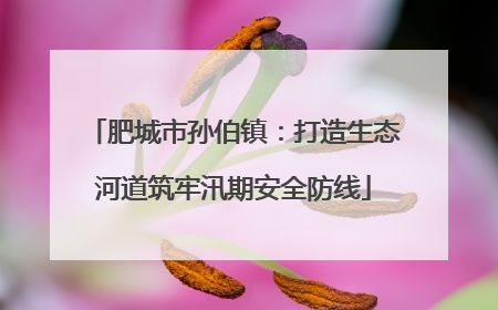 肥城市孙伯镇：打造生态河道筑牢汛期安全防线