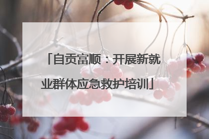 自贡富顺：开展新就业群体应急救护培训