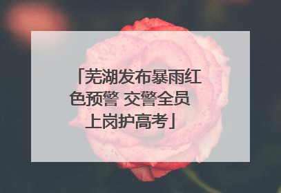 芜湖发布暴雨红色预警 交警全员上岗护高考
