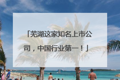 芜湖这家知名上市公司，中国行业第一！