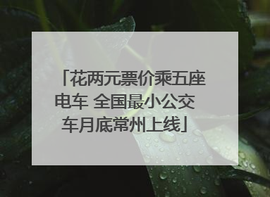 花两元票价乘五座电车 全国最小公交车月底常州上线