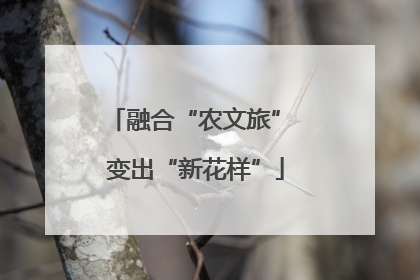 融合“农文旅” 变出“新花样”