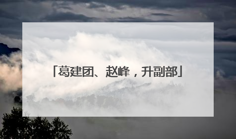 葛建团、赵峰，升副部