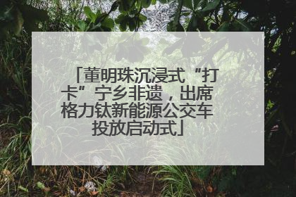 董明珠沉浸式“打卡”宁乡非遗，出席格力钛新能源公交车投放启动式