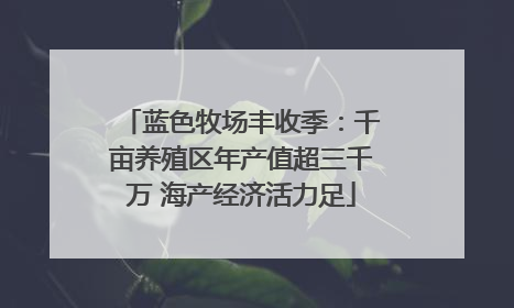 蓝色牧场丰收季：千亩养殖区年产值超三千万 海产经济活力足