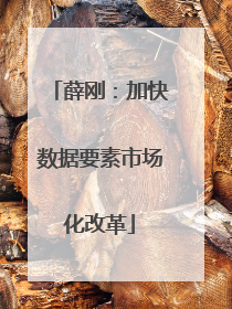 薛刚：加快数据要素市场化改革