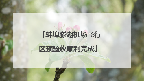 蚌埠滕湖机场飞行区预验收顺利完成
