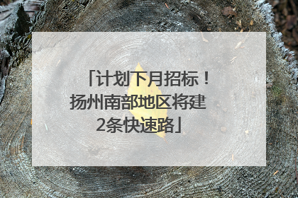 计划下月招标！扬州南部地区将建2条快速路