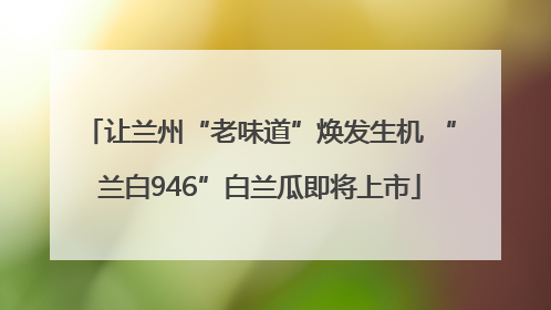 让兰州“老味道”焕发生机 “兰白946”白兰瓜即将上市