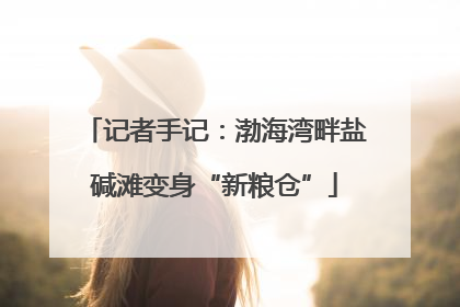 记者手记：渤海湾畔盐碱滩变身“新粮仓”