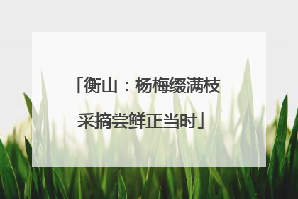 衡山：杨梅缀满枝 采摘尝鲜正当时