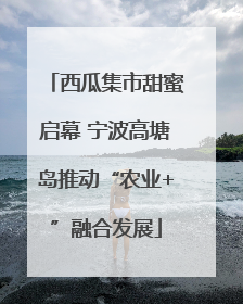 西瓜集市甜蜜启幕 宁波高塘岛推动“农业+”融合发展