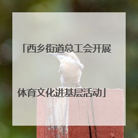 西乡街道总工会开展体育文化进基层活动