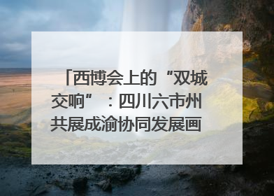 西博会上的“双城交响”：四川六市州共展成渝协同发展画卷｜西博视界