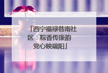 西宁福禄巷南社区：粽香传廉韵 党心映端阳