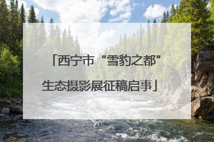 西宁市“雪豹之都”生态摄影展征稿启事