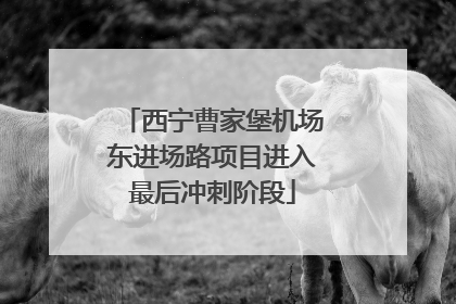 西宁曹家堡机场东进场路项目进入最后冲刺阶段