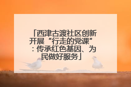 西津古渡社区创新开展“行走的党课”：传承红色基因、为民做好服务