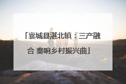 襄城县湛北镇：三产融合 奏响乡村振兴曲