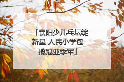 襄阳少儿乓坛绽新星 人民小学包揽冠亚季军