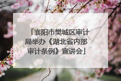 襄阳市樊城区审计局举办《湖北省内部审计条例》宣讲会
