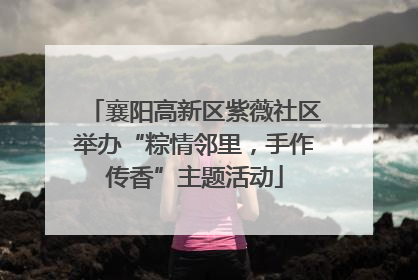 襄阳高新区紫薇社区举办“粽情邻里，手作传香”主题活动