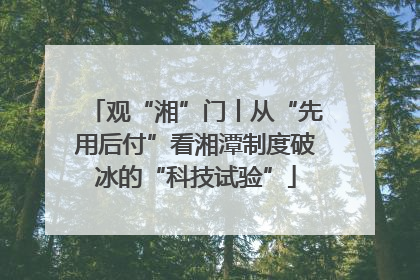观“湘”门丨从“先用后付”看湘潭制度破冰的“科技试验”