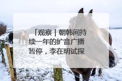 观察｜朝韩间持续一年的扩音广播暂停，李在明试探性将球踢向朝鲜