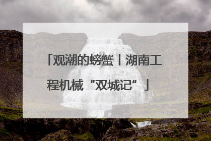 观潮的螃蟹丨湖南工程机械“双城记”