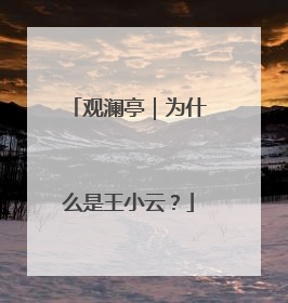 观澜亭｜为什么是王小云？