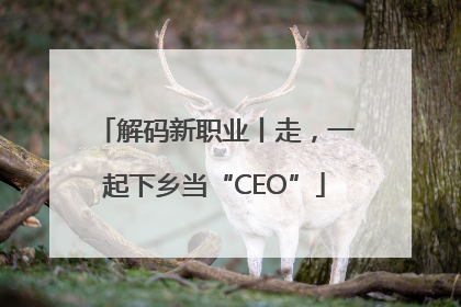 解码新职业丨走，一起下乡当“CEO”