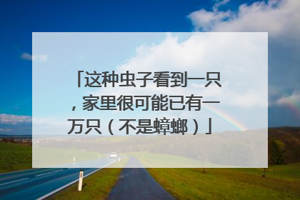 这种虫子看到一只，家里很可能已有一万只（不是蟑螂）
