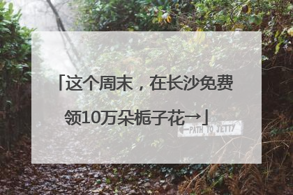 这个周末，在长沙免费领10万朵栀子花→