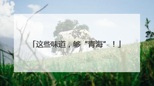 这些味道，够“青海”！
