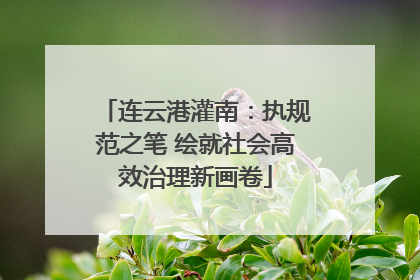 连云港灌南：执规范之笔 绘就社会高效治理新画卷