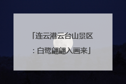 连云港云台山景区：白鹭翩翩入画来