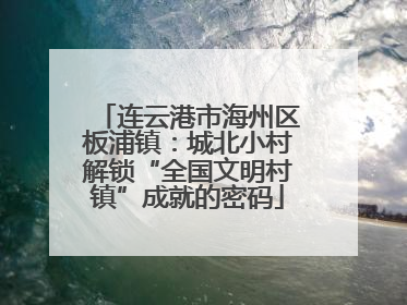 连云港市海州区板浦镇：城北小村解锁“全国文明村镇”成就的密码
