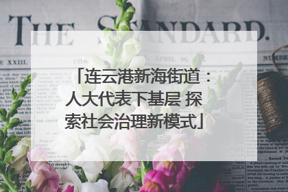 连云港新海街道：人大代表下基层 探索社会治理新模式